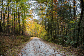 Fototapeta premium Fall scenery along the trails in Smithgall-Woods State Park, near Helen Georgia