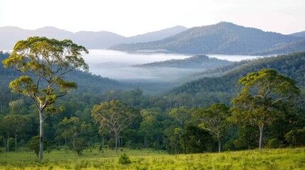Obraz premium Earth day environmental concept. Breathtaking view of misty mountains surrounded by lush green trees and serene nature.