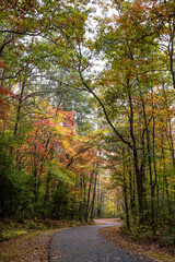 Fall scenery along the trails in Smithgall-Woods State Park, near Helen Georgia