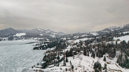 winter landscape