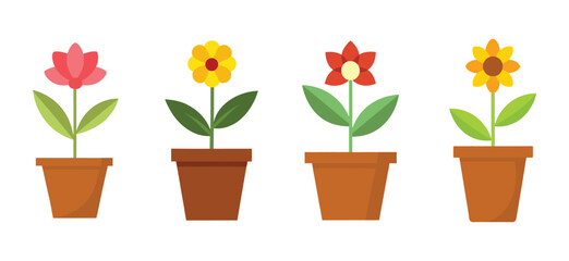 set of flowers in pots. isolated on white.