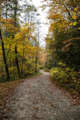Fall scenery along the trails in Smithgall-Woods State Park, near Helen Georgia