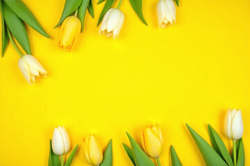 bunch of yellow and white tulips on a yellow background