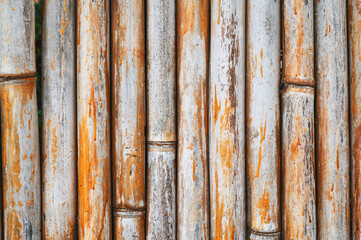 natural wooden background with a texture of pattern of old dry bamboo with a copy space