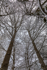 After the snowfall at Lago di Cave