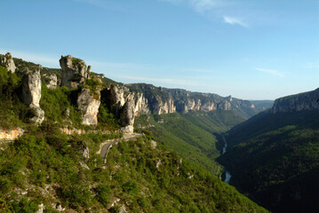 Gorges du Tarn, Parc naturel régional des grands causses, 48, Lozère, Région Languedoc-Roussillon, France
