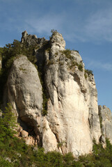 Gorges du Tarn, Parc naturel régional des grands causses, 48, Lozère, Région Languedoc-Roussillon, France