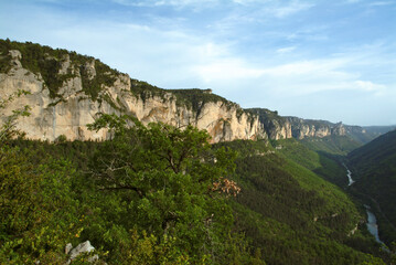 Gorges du Tarn, Parc naturel régional des grands causses, 48, Lozère, Région Languedoc-Roussillon, France