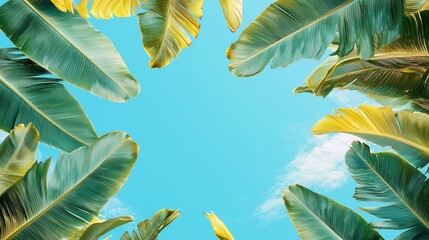 Bright Blue Sky Framed by Lush Green and Yellow Banana Leaves