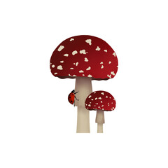Red mushroom (amanita muscaria) with ladybug illustration