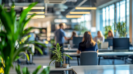 Modern office with desks, chairs, and a bright, airy atmosphere, showcasing collaborative work and natural elements. Plants add vibrancy.