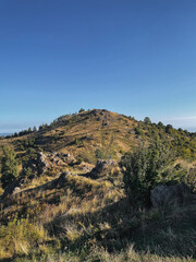Morning in the Romanian Mountains