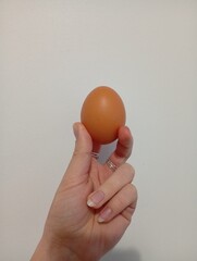 egg in hand