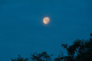 Glowing Full Moon Amidst Wispy Clouds: A Tranquil Night Sky Scene