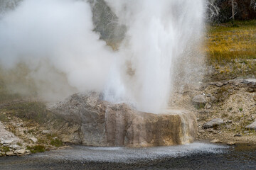 Riverside Geyser erupting along the Firehole River, in the Upper Geyser Basin of Yellowstone National Park