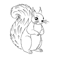 Cute squirrel cartoon, vector illustration, squirrel icon isolated on white background. Line art.