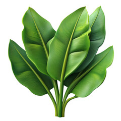 3D-banana-leaf
