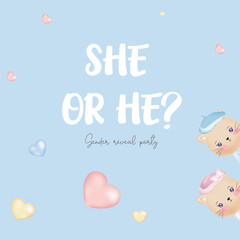 She or he?  On a blue background with a cat .Vector