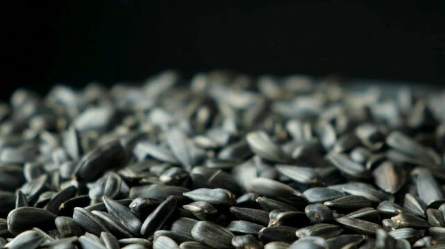 Macro Black Unpeeled Sunflower Seeds Pouring Slow Motion