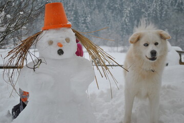 Snowman and dog in the snow