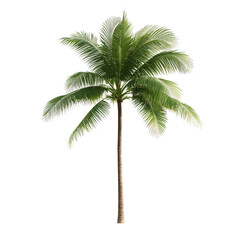 A stunning representation of an elegant palm tree, showcasing its vibrant green fronds and textured trunk against a solid black background, inviting dreams of tropical paradises.