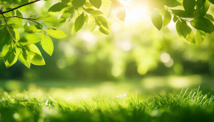 Obraz premium Bright spring sunlight filtering through tree branches, with soft-focus greenery, ideal for nature-inspired flyer backgrounds