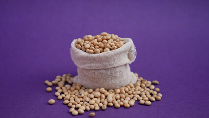 Soybeans in sack isolated on purple background.