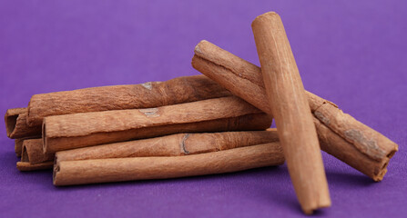 cinnamon stick isolated on purple background closeup