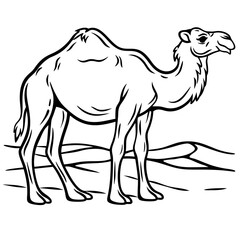 camel