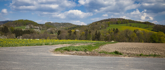 Fr&uuml;hling beim Ort Bairoda.