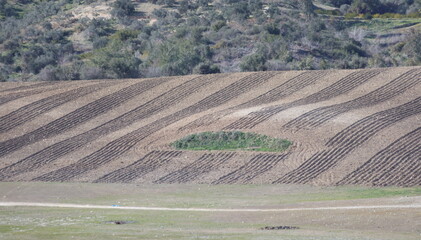 A freshly ploughed field with well-defined furrows