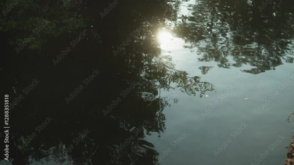 Aufkleber sunlight reflecting on calm water with tree reflections creating a serene scene