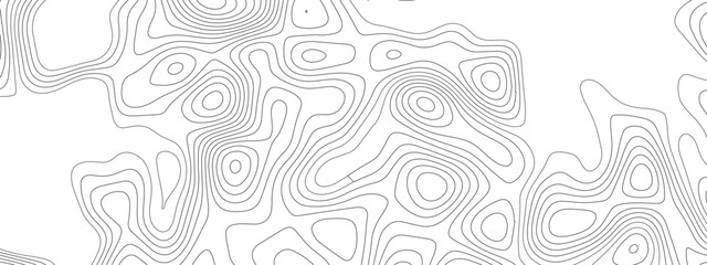Fototapeta premium Abstract wave paper curved reliefs background .gradient multicolor wave curve lines banner background design. The black on white contours vector topography stylized height of the
