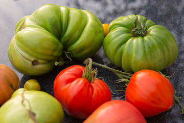 Colorful Tomatoes on gray table .