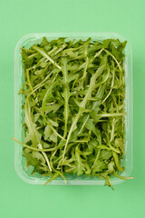 A top-down shot of fresh arugula leaves in a clear plastic container against a solid green background