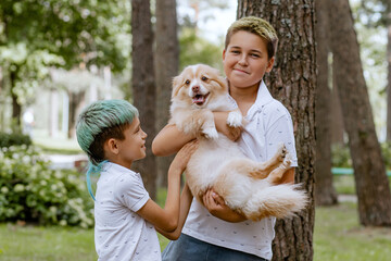 Fototapeta premium Two boys have fun, play with their dog outside in summer park. Friendship between children and pet. Brothers spend time in the garden