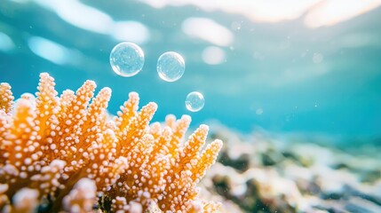 Ocean acidification concept. Colorful coral reef underwater scene with bubbles rising to the surface.