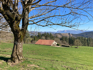 paisaje rural de campo con caserio casa de monte txindoki árbol  país vasco legazpi IMG_0085-as25 © txakel