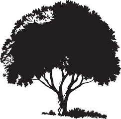 Obraz premium Vector black tree of live icon on white background 