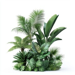 Lush Tropical Foliage Arrangement Palm Fern Banana Monstera Plants