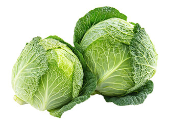 Fototapeta premium Fresh green cabbage heads, isolated on transparent cutout background