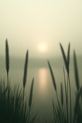 Obraz premium Silhouettes of tall grass against misty sunrise create serene at