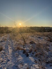 Frosty winter morning, sunny, plants in hoarfrost