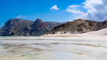Stunning coastal landscape showcasing the unique beauty of Socotra Island