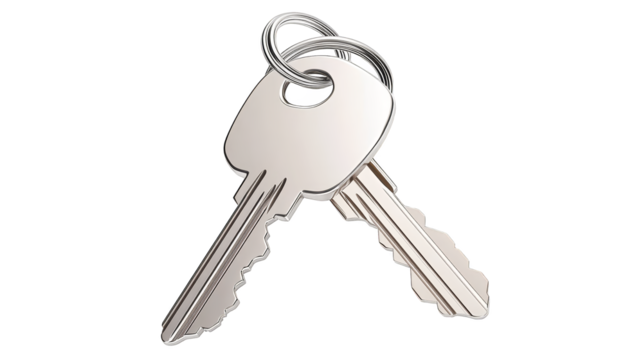 Unlocking potential, a collection of keys symbolizing security, access, and opportunity