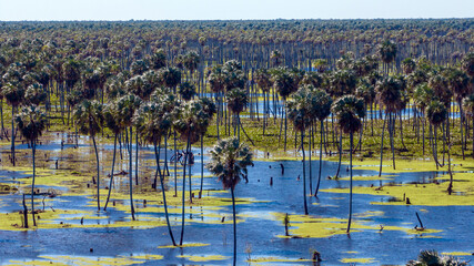 Dron en el bañado la Estrella, Formosa, Argentina