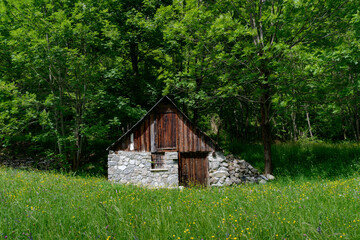 Obraz premium Hut in the Stura di Demonte valley at springtime