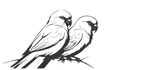 Minimalist Love Birds Silhouette on Branch - Black and White Art color