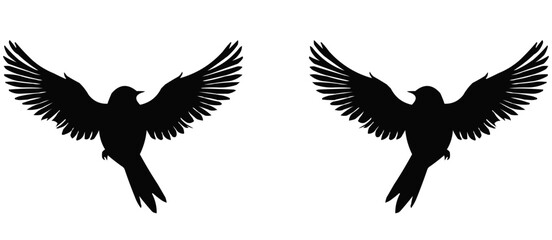 Minimalist Love Birds Silhouette on Branch - Black and White Art color