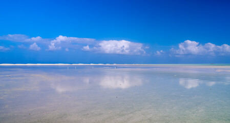 Discovering the tranquil beauty of Socotras coastal waters reflecting the sky